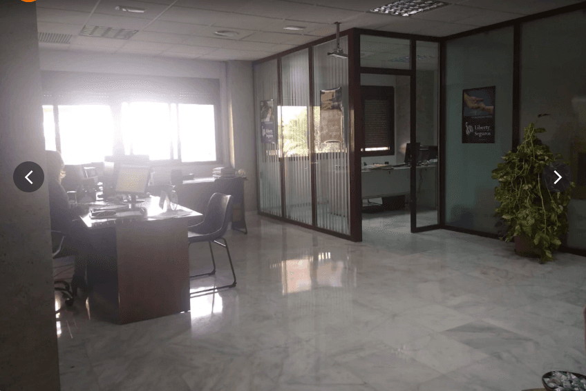 Oficina luminosa con suelos de mármol, mamparas de cristal, escritorios y una gran planta verde.